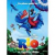 dvd et Blu Ray RIO